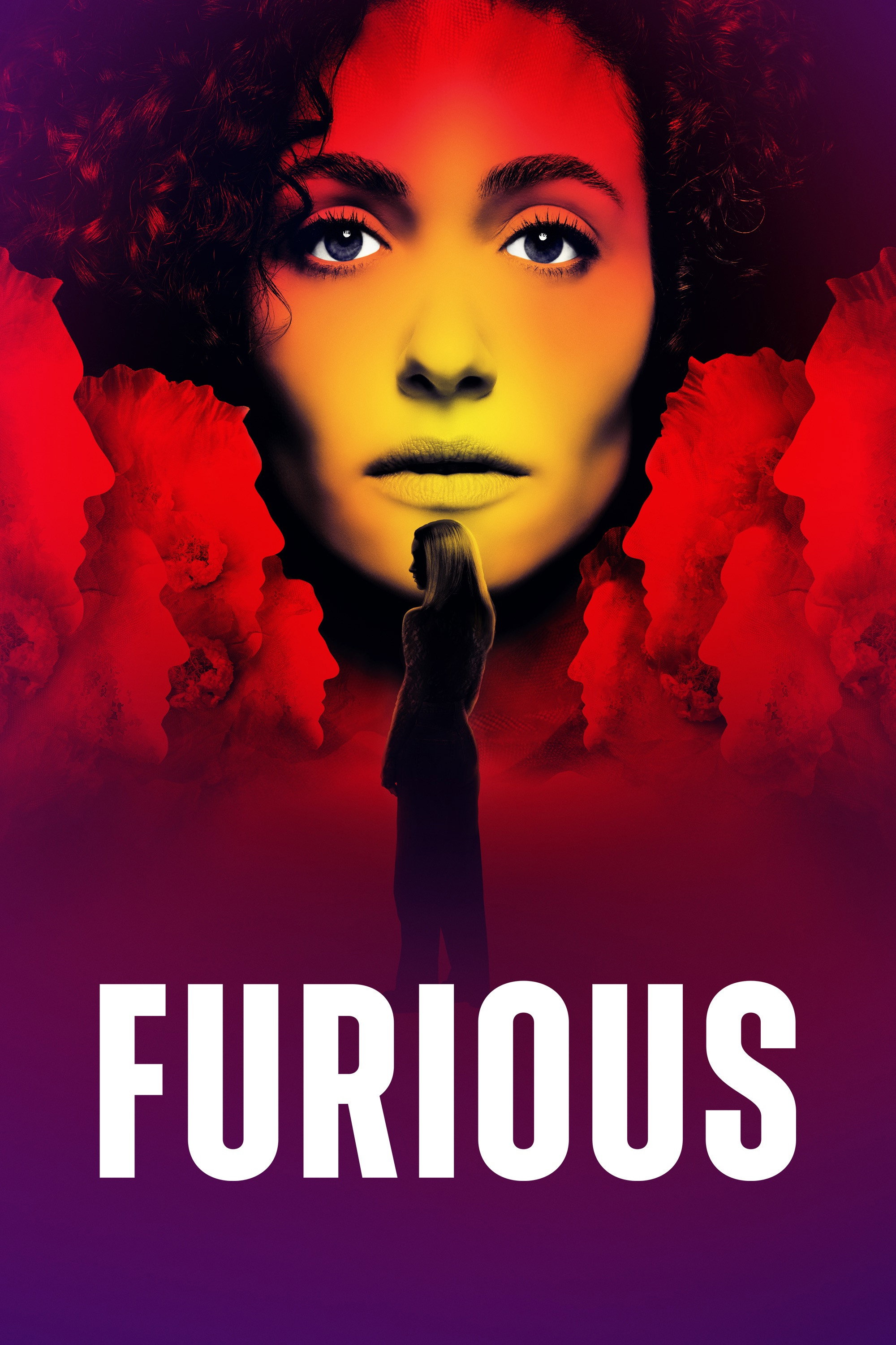 Furious poster